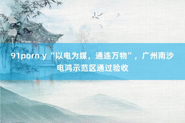 91porn y “以电为媒，通连万物”，广州南沙电鸿示范区通过验收