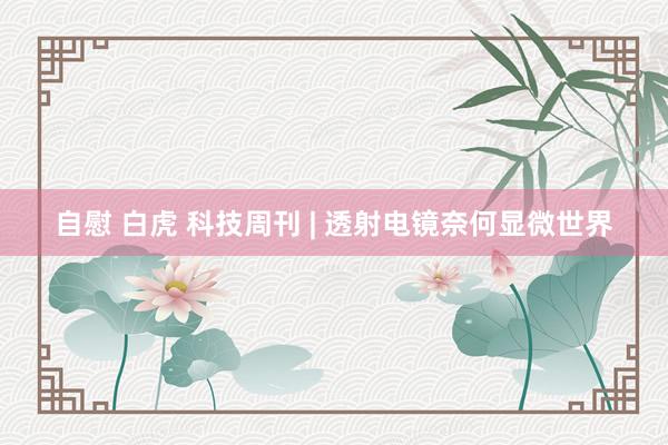 自慰 白虎 科技周刊 | 透射电镜奈何显微世界