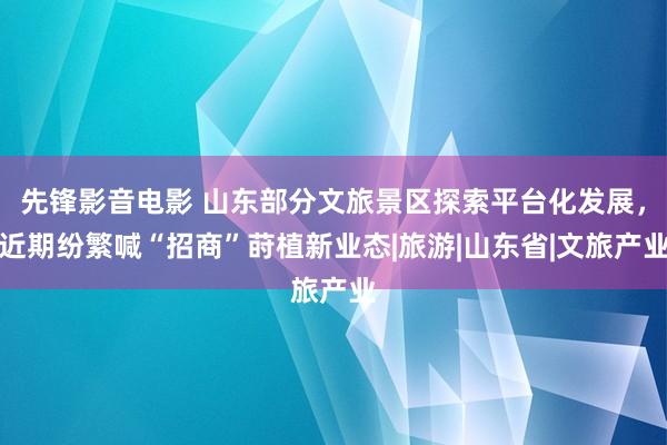 先锋影音电影 山东部分文旅景区探索平台化发展，近期纷繁喊“招商”莳植新业态|旅游|山东省|文旅产业