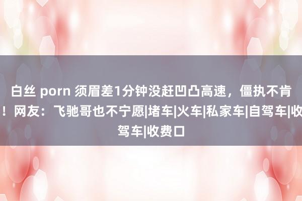 白丝 porn 须眉差1分钟没赶凹凸高速，僵执不肯给钱！网友：飞驰哥也不宁愿|堵车|火车|私家车|自驾车|收费口