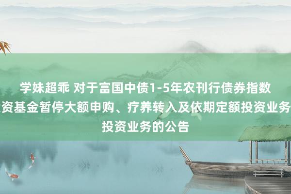 学妹超乖 对于富国中债1-5年农刊行债券指数证券投资基金暂停大额申购、疗养转入及依期定额投资业务的公告