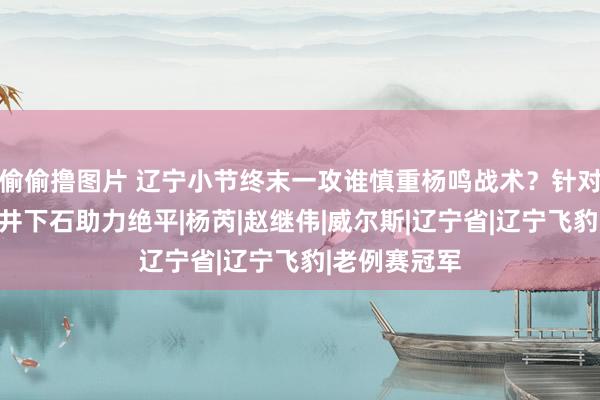 偷偷撸图片 辽宁小节终末一攻谁慎重杨鸣战术？针对性调度，落井下石助力绝平|杨芮|赵继伟|威尔斯|辽宁省|辽宁飞豹|老例赛冠军