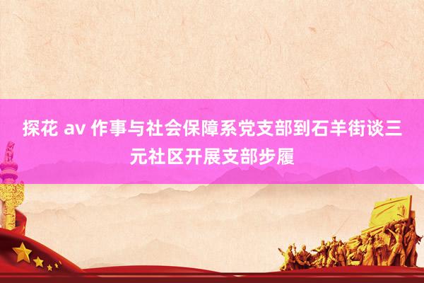 探花 av 作事与社会保障系党支部到石羊街谈三元社区开展支部步履