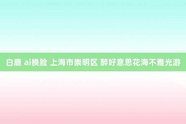 白鹿 ai换脸 上海市崇明区 醉好意思花海不雅光游