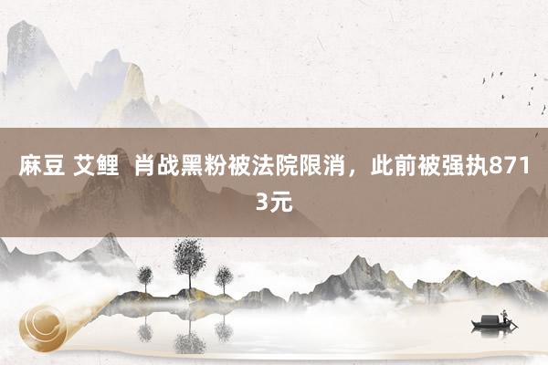 麻豆 艾鲤  肖战黑粉被法院限消，此前被强执8713元