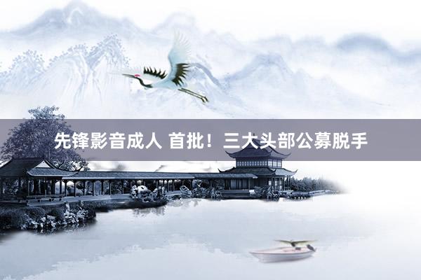 先锋影音成人 首批！三大头部公募脱手