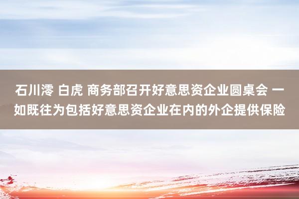 石川澪 白虎 商务部召开好意思资企业圆桌会 一如既往为包括好意思资企业在内的外企提供保险